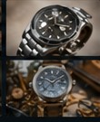 Watch case and bracelet care